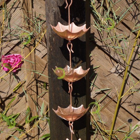 Chaine de pluie Canopus