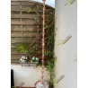 Chaine de pluie Sirius | Design O Garden