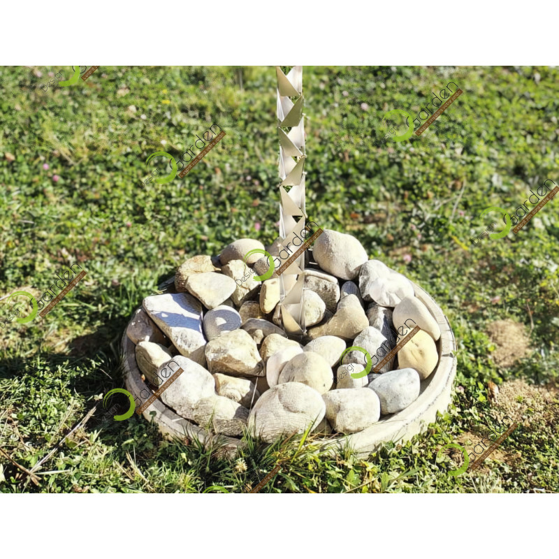 Chaine de Pluie PEGASE Inox Chaine de Pluie PEGASE Inox